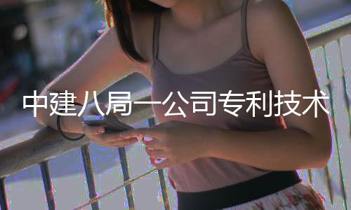 0项八局中建破1利技量突一公司专术总