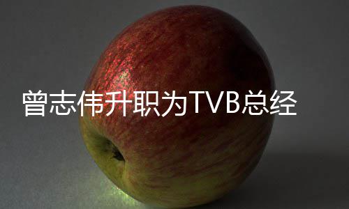 内容曾志职为B总伟升经理 将节目运营负责